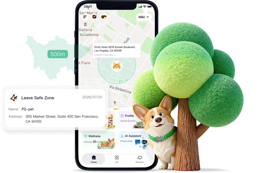 Smart boundaries and precision tracking