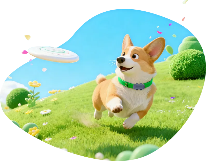 全方位健康监测