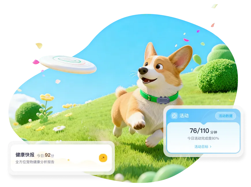全方位健康监测