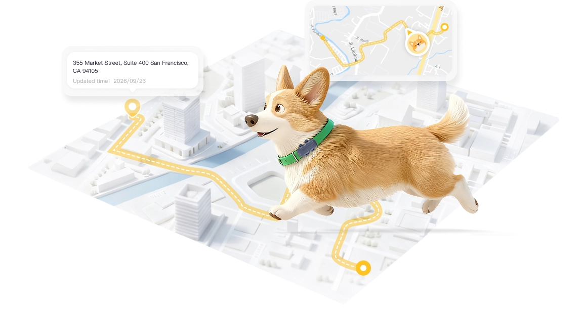 Route history and location tracking